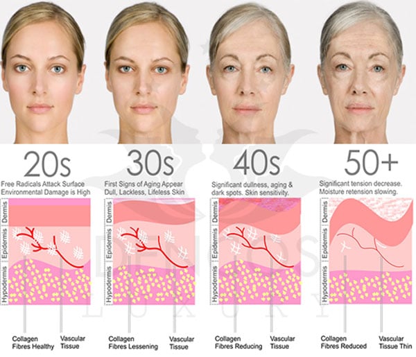 sợi collagen theo thời gian