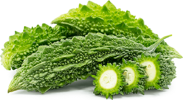 Mướp đắng có tác dụng giảm cân