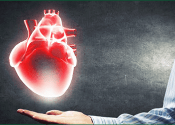 Thúc đẩy sức khỏe của tim mạch