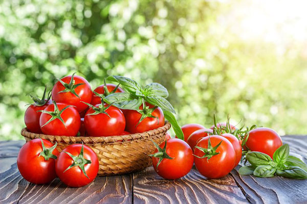 Cà chua có chứa chất lycopene với hàm lượng cao có tác dụng giúp tái tạo da lão hóa, tăng cường dưỡng chất cho da. Chứa chất chống oxy hóa giúp da ngăn ngừa và làm chậm lão hóa.
