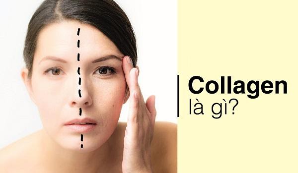 Collagen - có nguồn gốc từ da, xương và sụn và da của động vật  bò, gà và cá) - đã trở nên phổ biến.