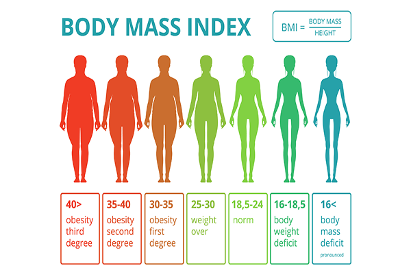 Các chỉ số về khối lượng cơ thể bạn cần lưu ý 