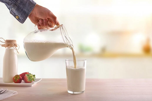 Sữa tươi chứa nhiều chất chống oxy hóa hỗ trợ làm đẹp da