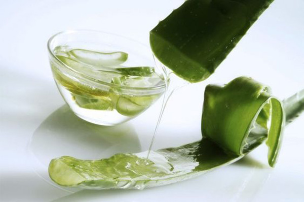 Nha đam làm dịu da, giảm sưng