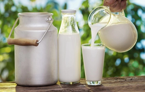 Sữa dê được xem là nguyên liệu dưỡng da trắng sáng hiệu quả