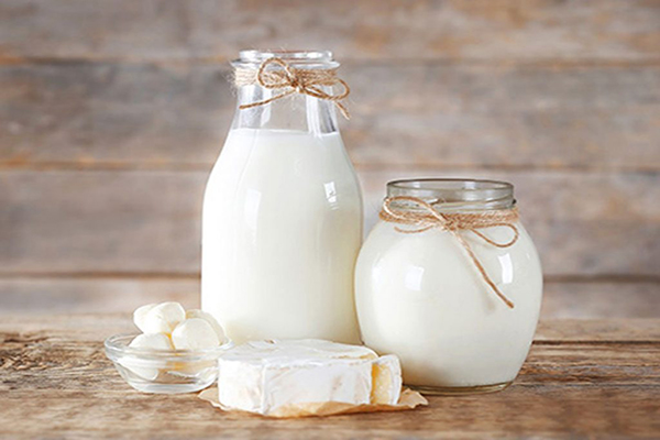 Sữa tươi giúp duy trì độ đàn hồi và ngăn quá trình lão hóa da