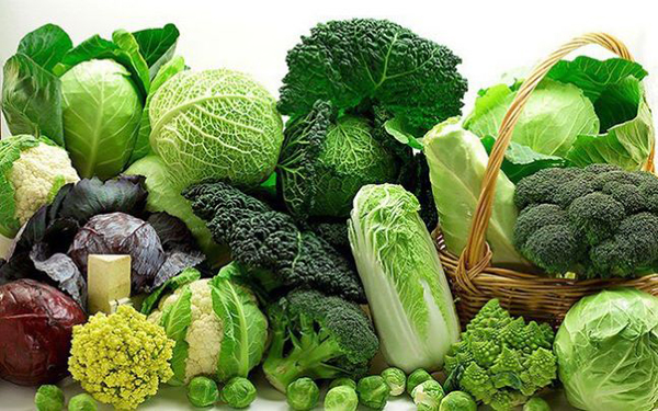 Tập thói quen ăn nhiều rau xanh trong thực đơn hàng ngày