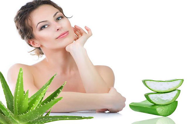 Nha đam hoàn toàn có thể trị quầng thâm xung quanh mắt