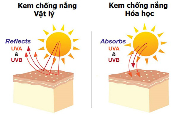 cơ chế hoạt động của kem chống nắng vật lý và hóa học