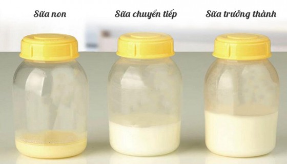 Sữa non có tác dụng gì cho da mặt?