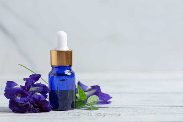 Toner hoa đậu biếc