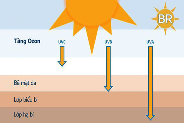 Tia UV có thể gây hại cho da nếu tiếp xúc quá lâu