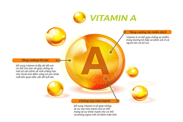 Vitamin chống lão hóa hiệu quả