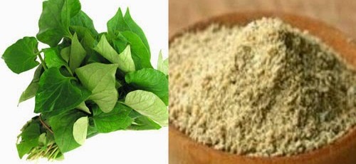 Sở hữu da mặt băng bóng trắng sáng nhờ rau diếp cá và cám gạo Sở hữu da mặt băng bóng trắng sáng nhờ rau diếp cá và cám gạo
