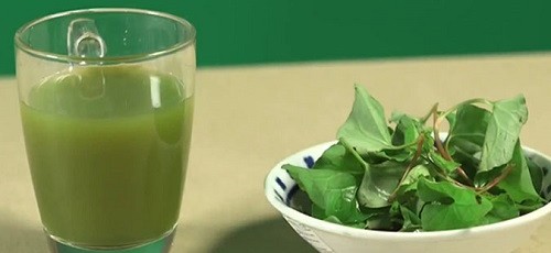 Uống nước rau diếp cá giúp điều trị mụn nội tiết Uống nước rau diếp cá giúp điều trị mụn nội tiết