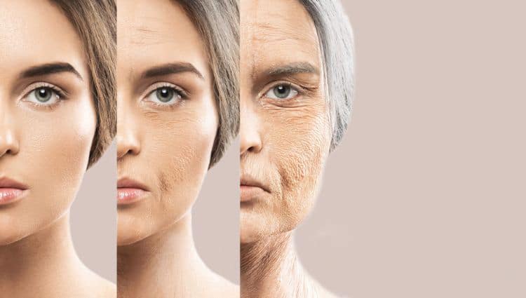Lão hóa da bắt đầu từ tuổi 25 và ngày càng rõ rệt khi cao tuổi
