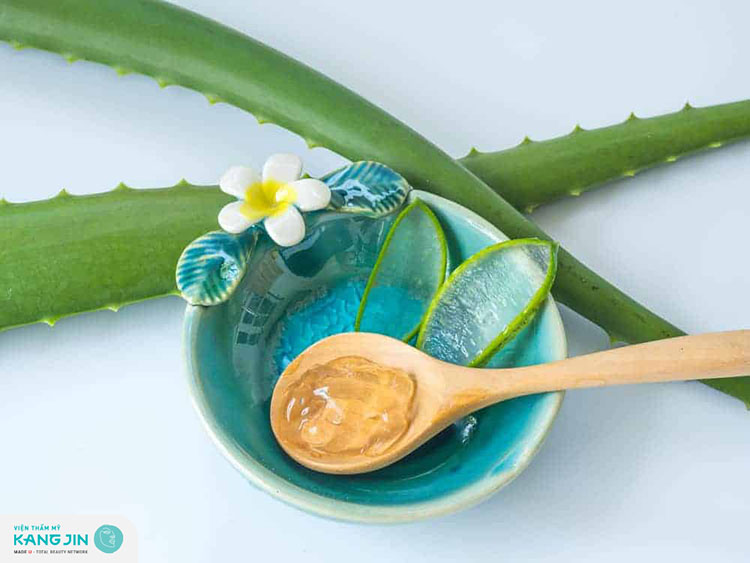 Nha đam là nguyên liệu quen thuộc trong các loại mặt nạ dưỡng da mùa hè Nha đam là nguyên liệu quen thuộc trong các loại mặt nạ dưỡng da mùa hè