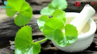 6 Cách Trị Nám Bằng Rau Má Hiệu Quả Ngay Tại Nhà